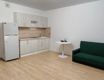 1-к. квартира, 29,7 м²