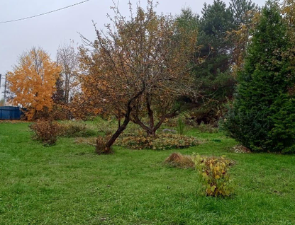 Участок (садоводство), 11,7 сот.