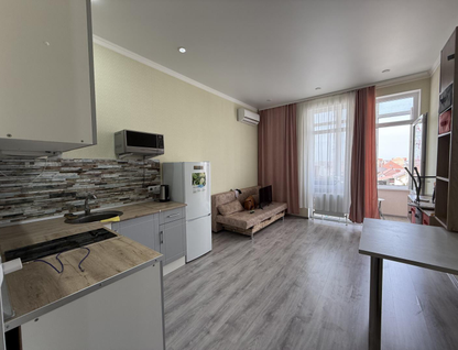 Студия, 25&nbsp;м²