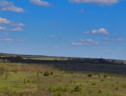 Участок (садоводство), 1,5 сот.