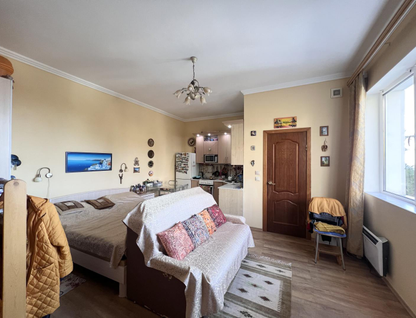 Студия, 29,6&nbsp;м²