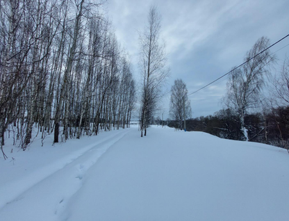 Участок (земля с/х назначения), 8 сот.