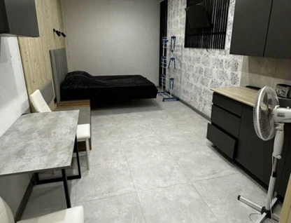 Студия, 24&nbsp;м²