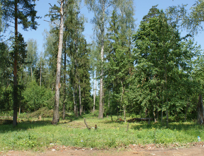 Участок (садоводство), 15 сот.