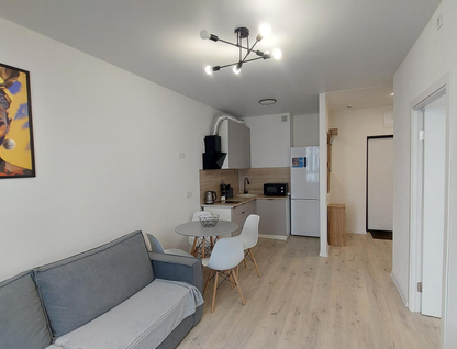 1-к. квартира, 33,8&nbsp;м²