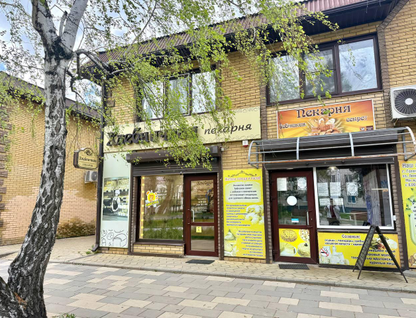 Помещение свободного назначения, 25,7&nbsp;м²