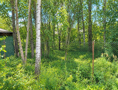 Участок (садоводство), 6 сот.