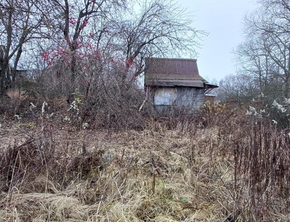 Участок (личное подсобное хозяйство), 5,9 сот.