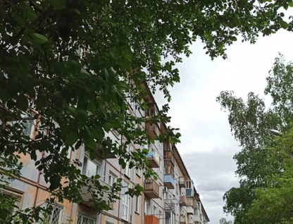 3-к. квартира, 49&nbsp;м²