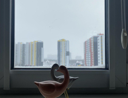 2-к. квартира, 73,8&nbsp;м²