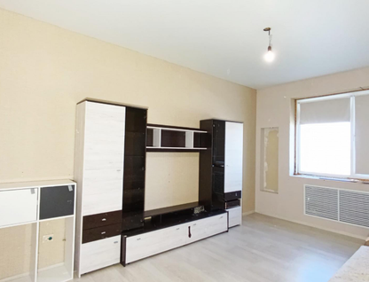 1-к. квартира, 43,8&nbsp;м²