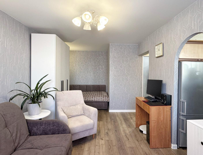 1-к. квартира, 30,2 м²