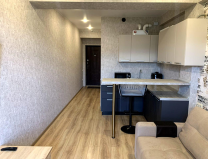 Студия, 23,9 м²