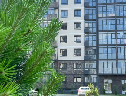 Студия, 25&nbsp;м²