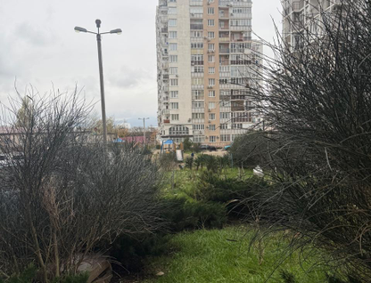 1-к. квартира, 44&nbsp;м²