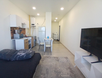 1-к. квартира, 25,2&nbsp;м²