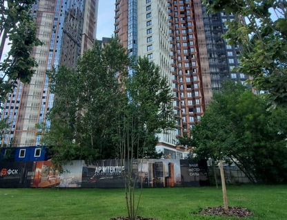 1-к. квартира, 56&nbsp;м²