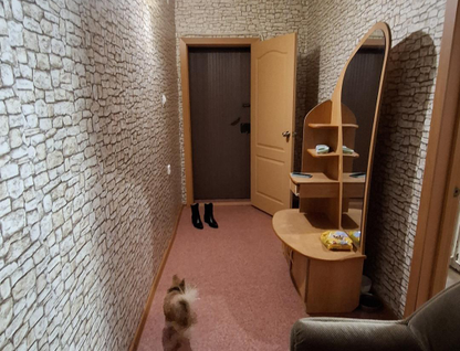 2-к. квартира, 51,7&nbsp;м²