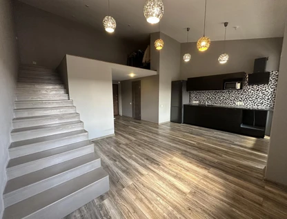Студия, 55&nbsp;м²