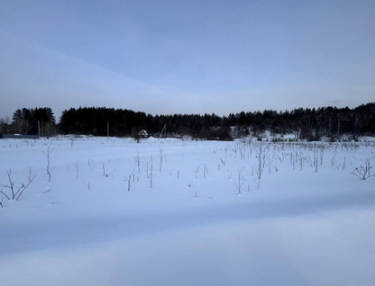 Участок (ижс), 10 сот.