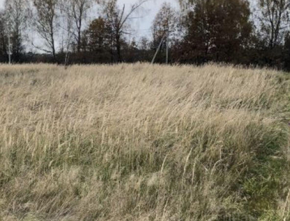 Участок (ижс), 13,5 сот.