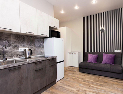 1-к. квартира, 25&nbsp;м²