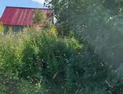 Участок (садоводство), 4,3 сот.