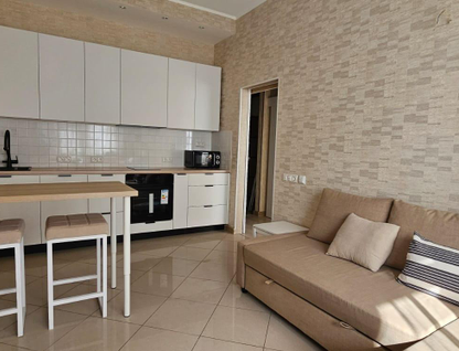 1-к. квартира, 45,1&nbsp;м²