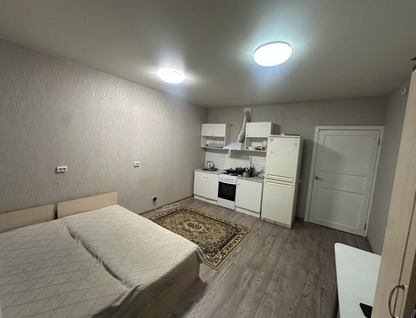 Студия, 24,4&nbsp;м²
