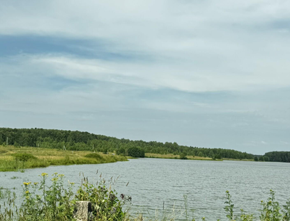 Участок (личное подсобное хозяйство), 30 сот.