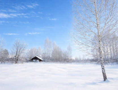 Участок (садоводство), 8 сот.