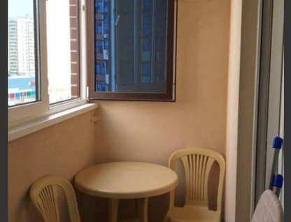 Студия, 24&nbsp;м²