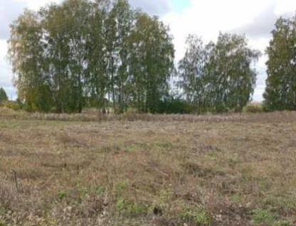 Участок (ижс), 10 сот.