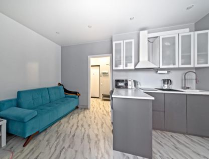 Студия, 23,8 м²