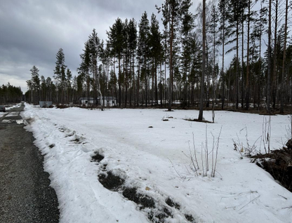 Участок (садоводство), 10 сот.
