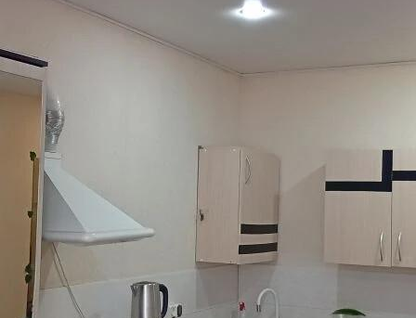 Студия, 23,7&nbsp;м²