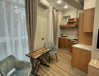 Студия, 20&nbsp;м²