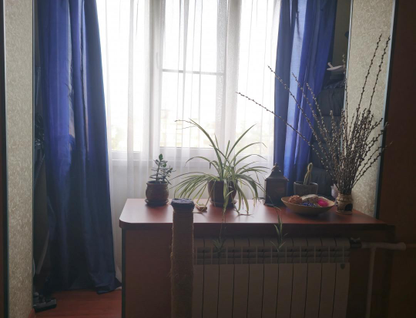 3-к. квартира, 54,9&nbsp;м²