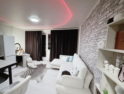 Студия, 24,1 м²