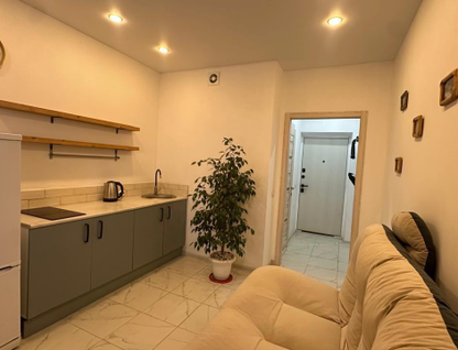 Студия, 19&nbsp;м²