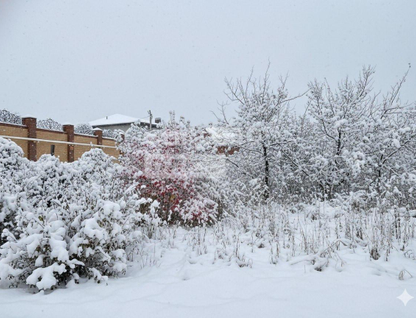 Участок (садоводство), 15,5 сот.