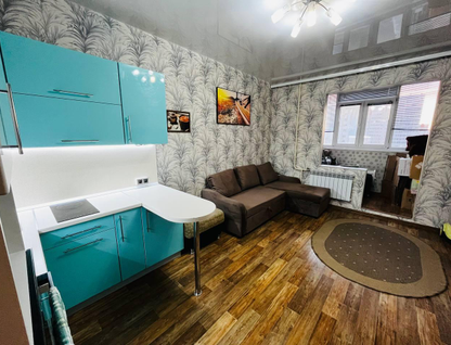 Студия, 23,5 м²