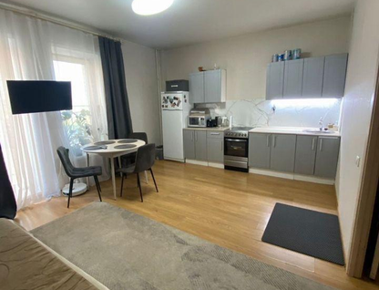 1-к. квартира, 43&nbsp;м²
