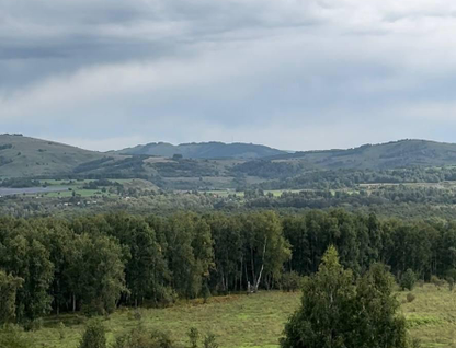 Участок (личное подсобное хозяйство), 10 сот.