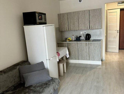 Студия, 22&nbsp;м²