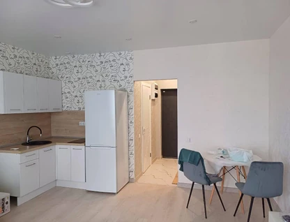1-к. квартира, 29&nbsp;м²