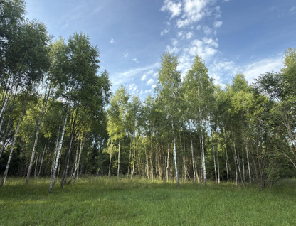 Участок (ижс), 20 сот.