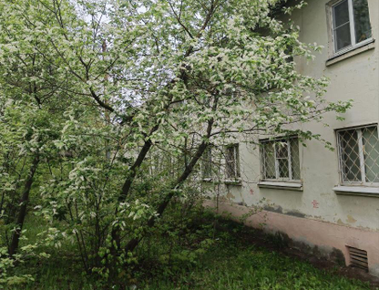2-к. квартира, 37&nbsp;м²