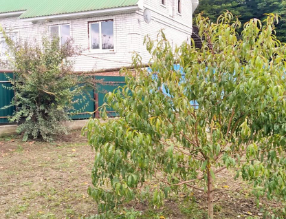 Участок (ижс), 14 сот.