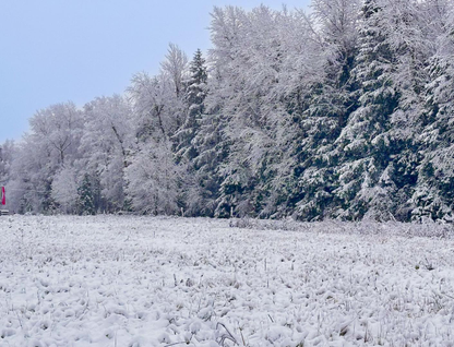 Участок (земля днп), 17,1 сот.